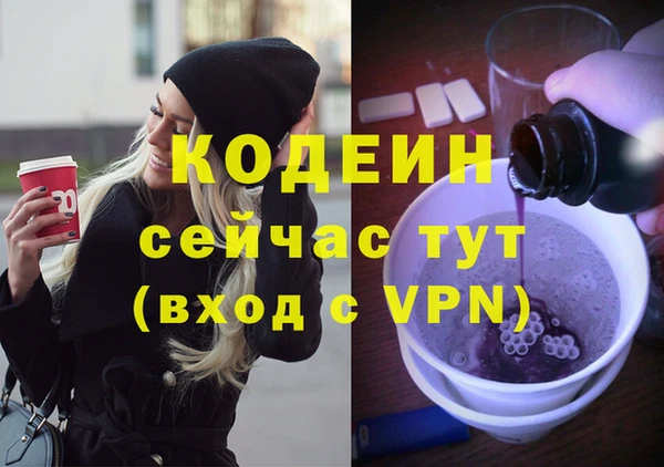 шишки Заводоуковск