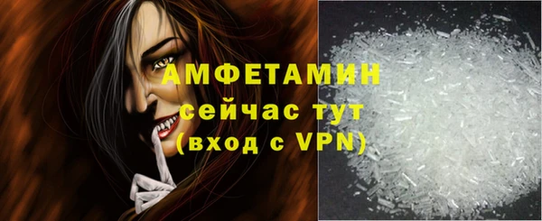шишки Заводоуковск
